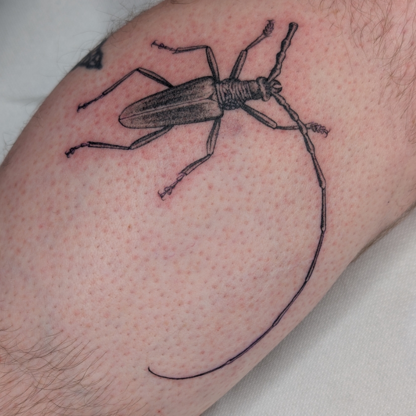 aoi-tatoueuse-talence-bordeaux-realisme-fineline-6