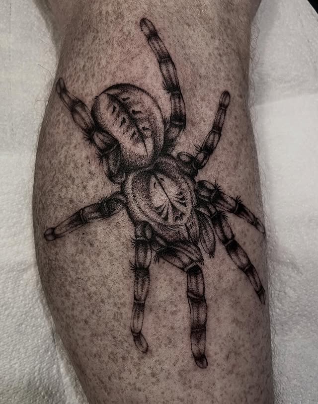 morel-ttt-tatoueur-talence-bordeaux-realisme-3